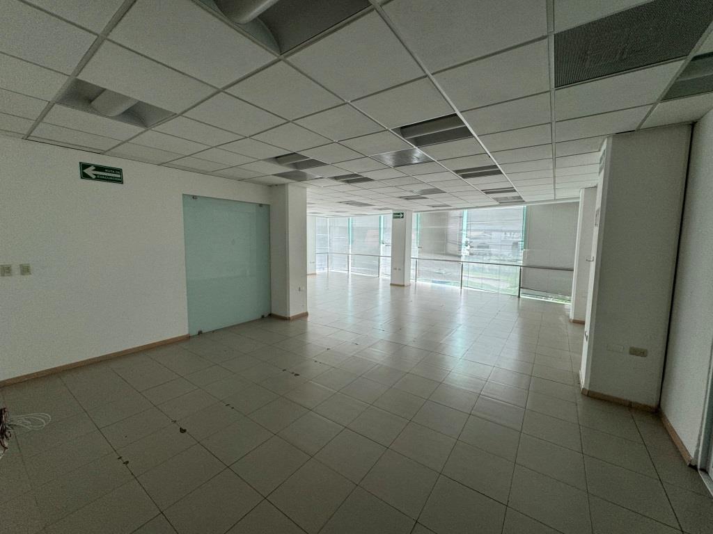 Oficinas ejecutivas en emblemático edificio zona Norte 