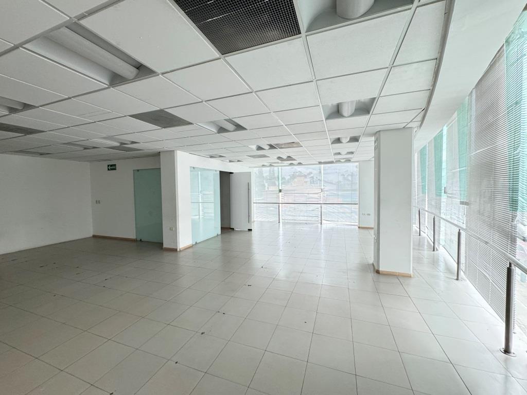 Oficinas ejecutivas en emblemático edificio zona Norte 