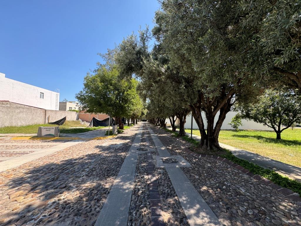 Terrenos dentro de fraccionamiento residencial