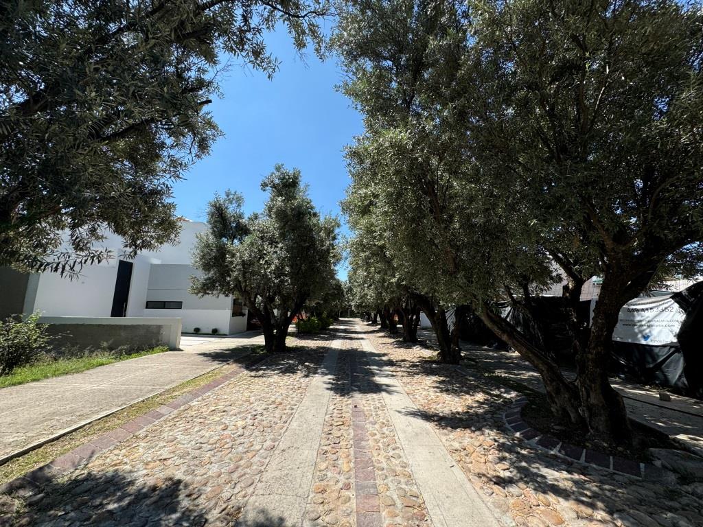 Terrenos dentro de fraccionamiento residencial