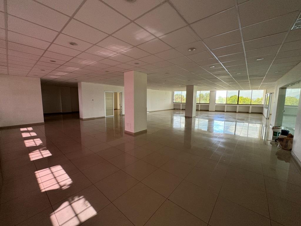 Oficinas ejecutivas sobre Av Universidad