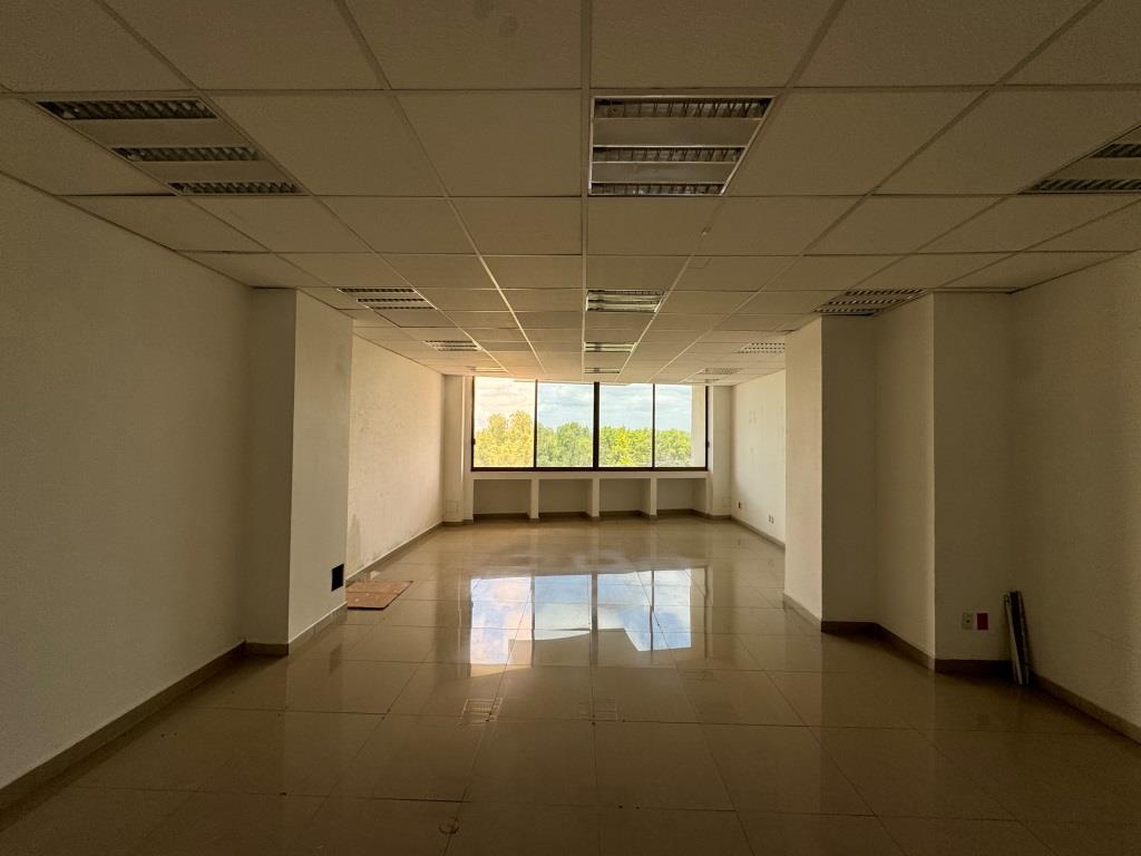Oficinas ejecutivas sobre Av Universidad