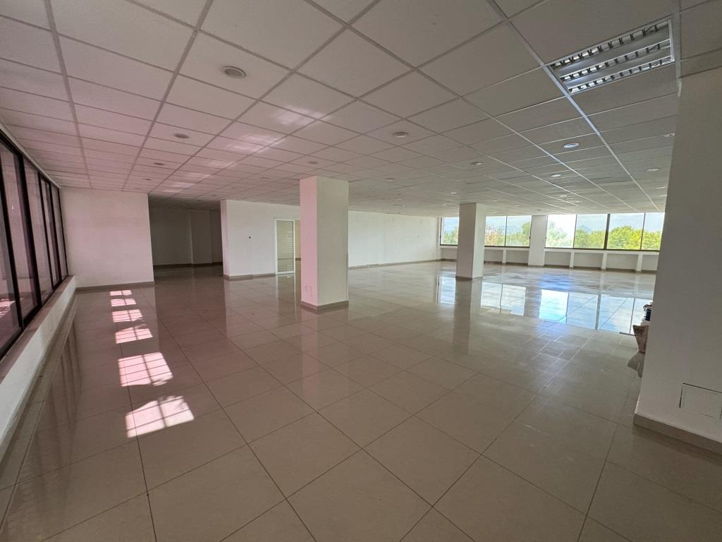Oficinas ejecutivas sobre Av Universidad