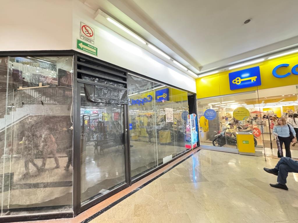 Local comercial zona centro 36m2