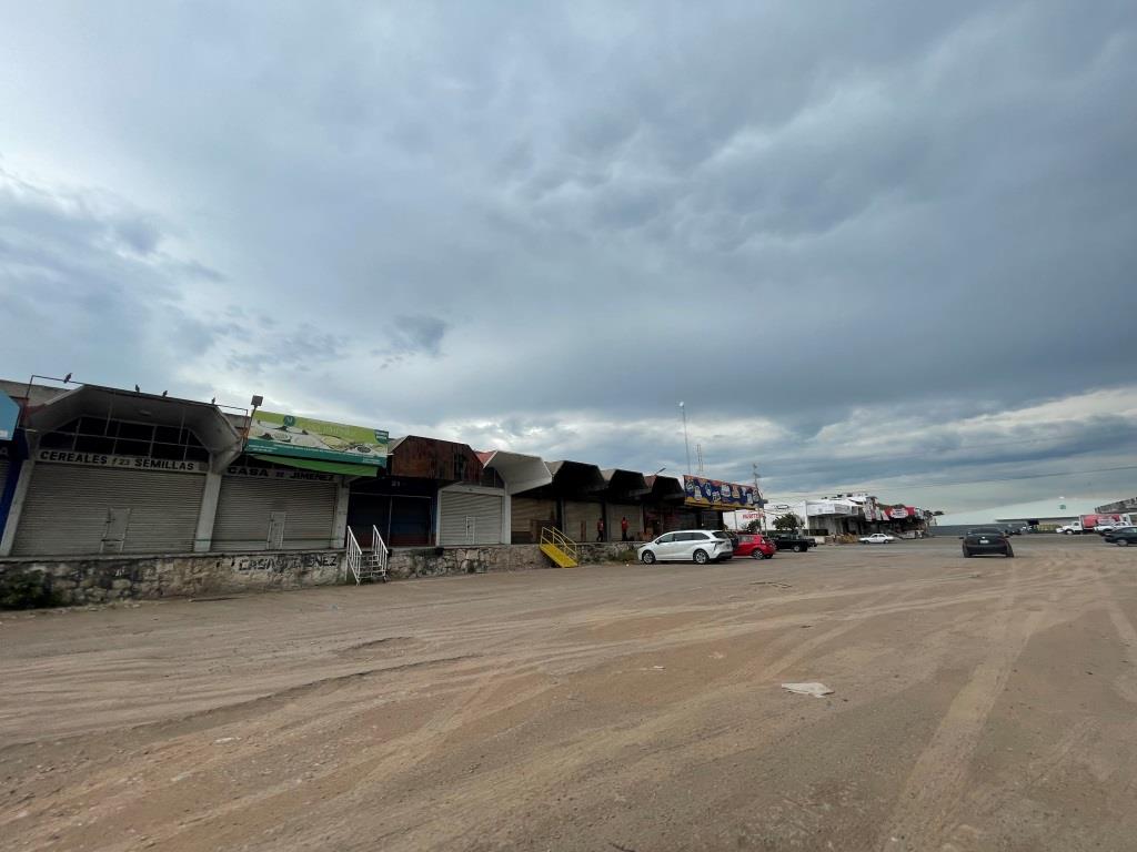 Bodega comercial zona sur