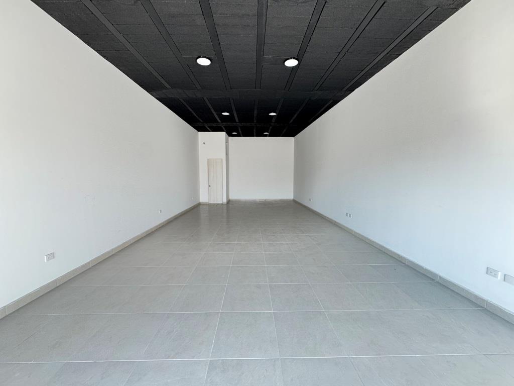 Locales comerciales en la zona Norte
