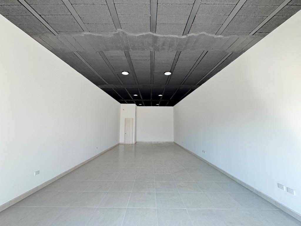 Locales comerciales en la zona Norte