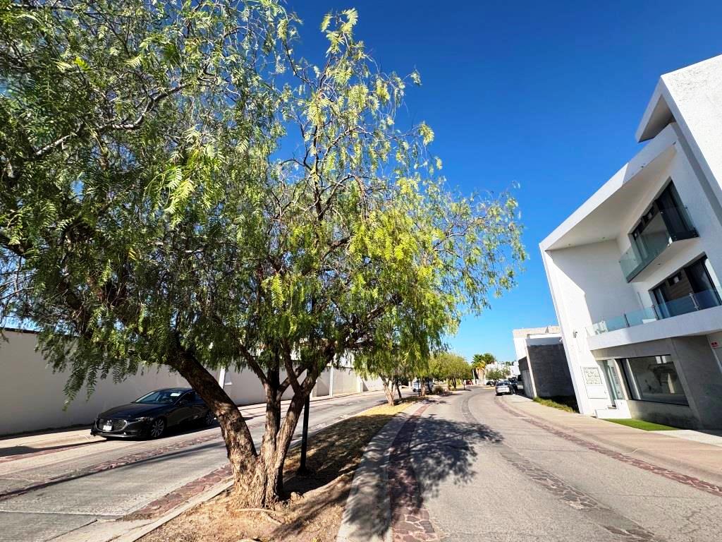 Terreno sobre calle de camellon 204m2