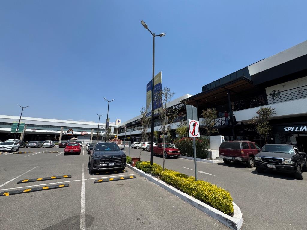 Locales comerciales zona Sur