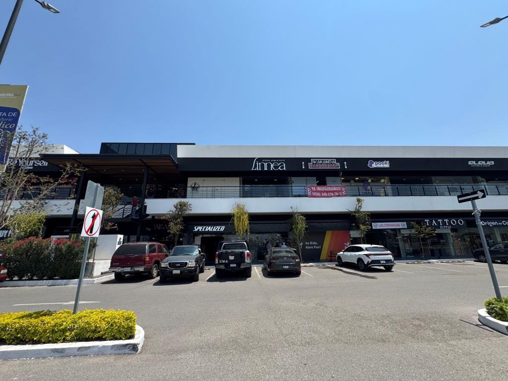 Locales comerciales zona Sur