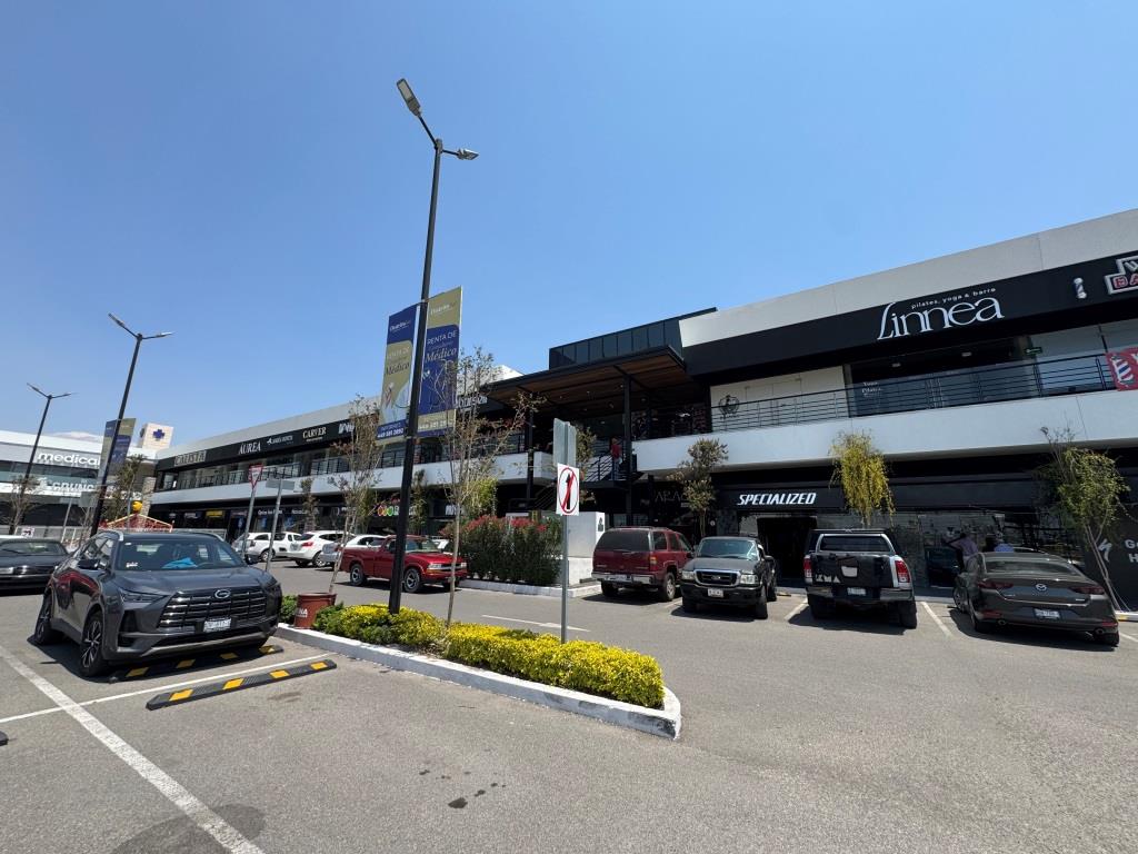 Locales comerciales zona Sur