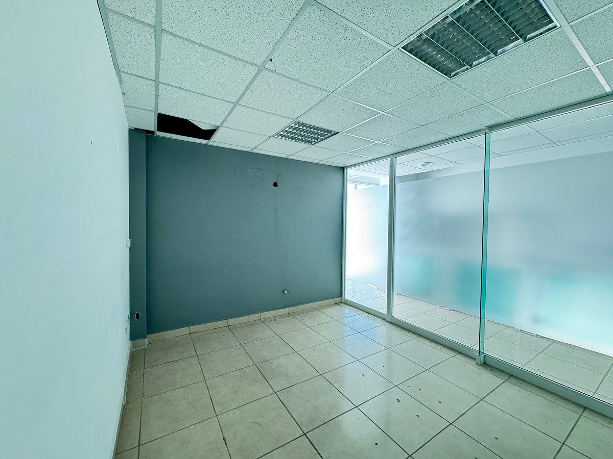 EDIFICIO COMERCIAL EN RENTA PARQUE TECNOPOLO