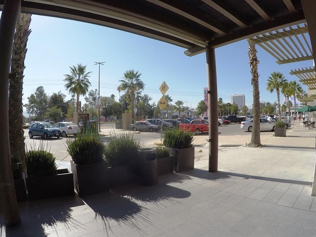 Local comercial en Plaza Palmas