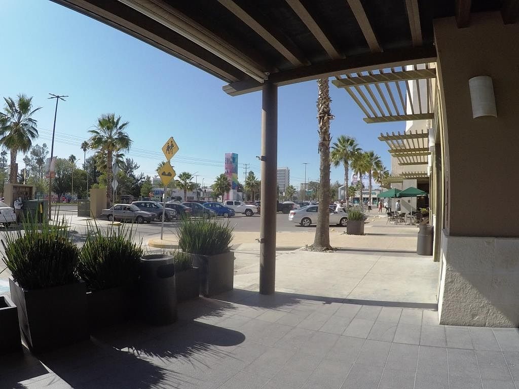 Local comercial en Plaza Palmas