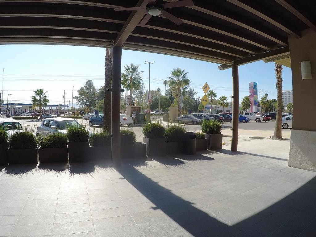 Local comercial en Plaza Palmas