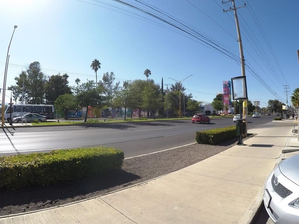 Local comercial en Plaza Palmas