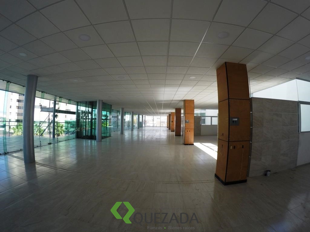 Oficinas, locales o consultorios en renta, sobre Av. Las Américas, Edificio nuevo.