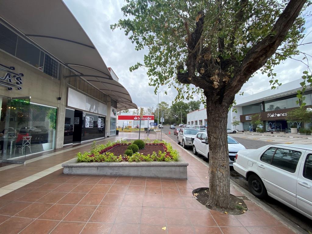 Local comercial 100m2