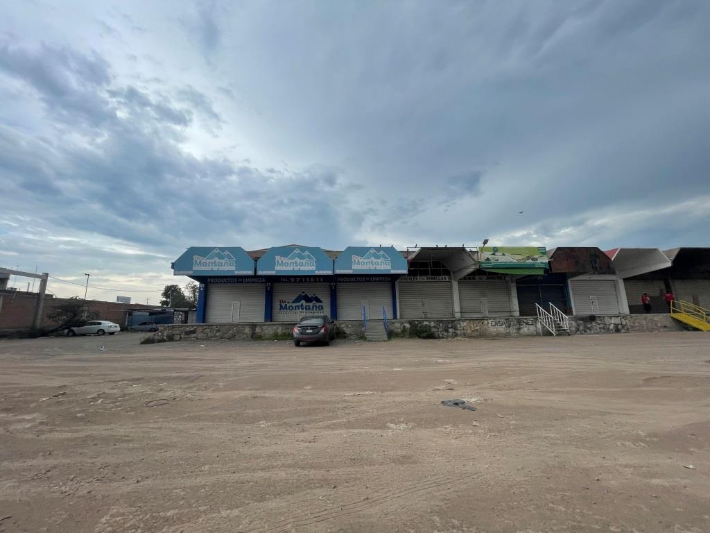 Bodega comercial zona sur