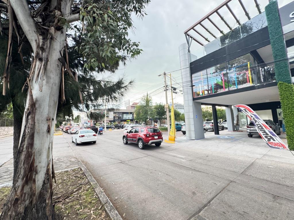 Imagen 1
