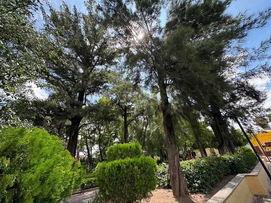 Finca en Renta | Barrio del Encino