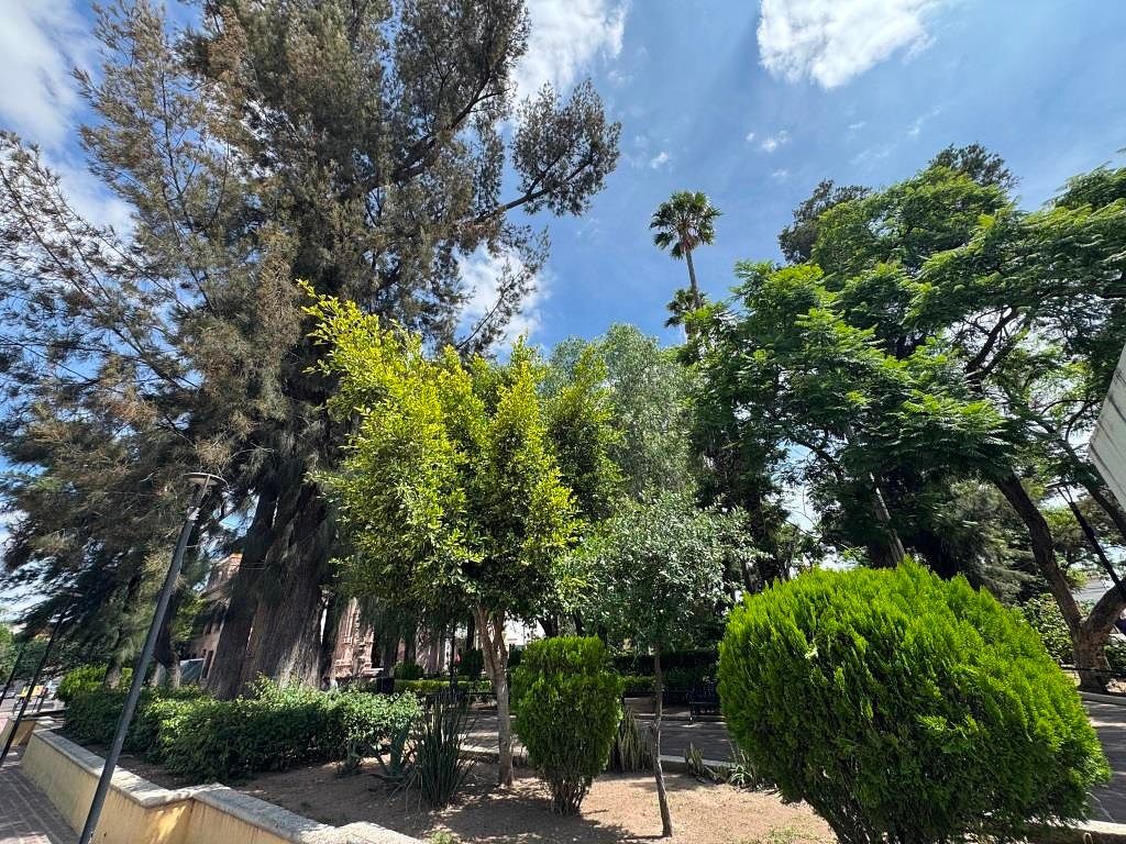 Finca en Renta | Barrio del Encino